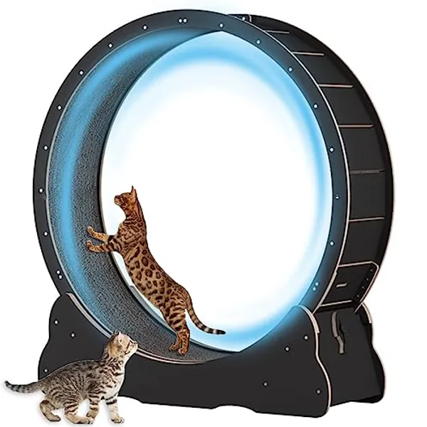 Large Cat Exercise Wheel 40 inch - Black Solid Wood Cat Wheel Exerciser for Indoor Cats, Safety Cat Treadmill with Lock & Minimized Gapdesign