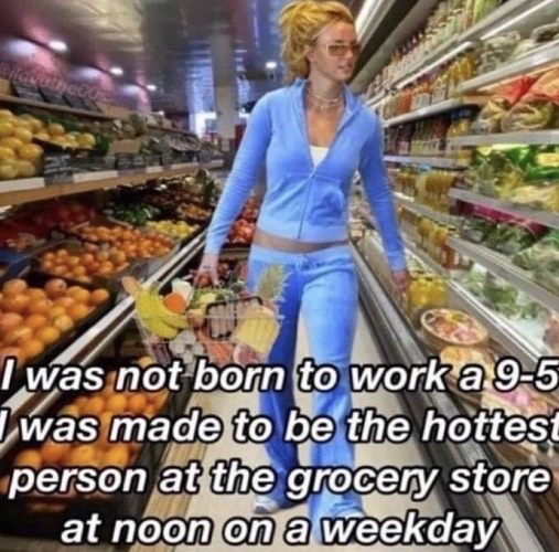 Full grocery cart ✨