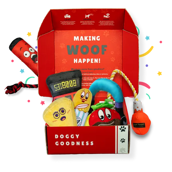 Surprise Box of Plush Dog Toys