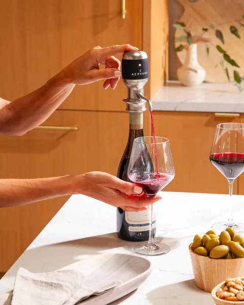 Aervana Original Wine Aerator 
