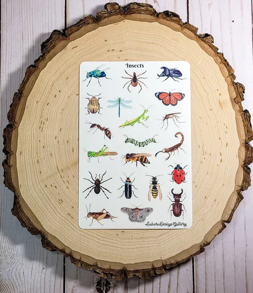Insect Sticker Sheet, Bug Stickers, Journal Stickers, Scrapbook Stickers, Planner Stickers, Calendar Stickers, Insect Gift