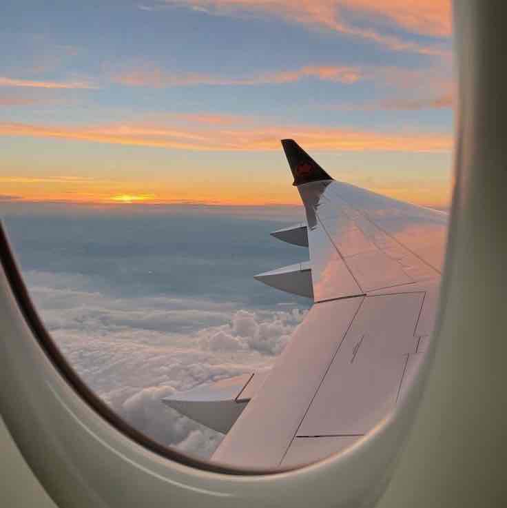 Study Abroad ✈️