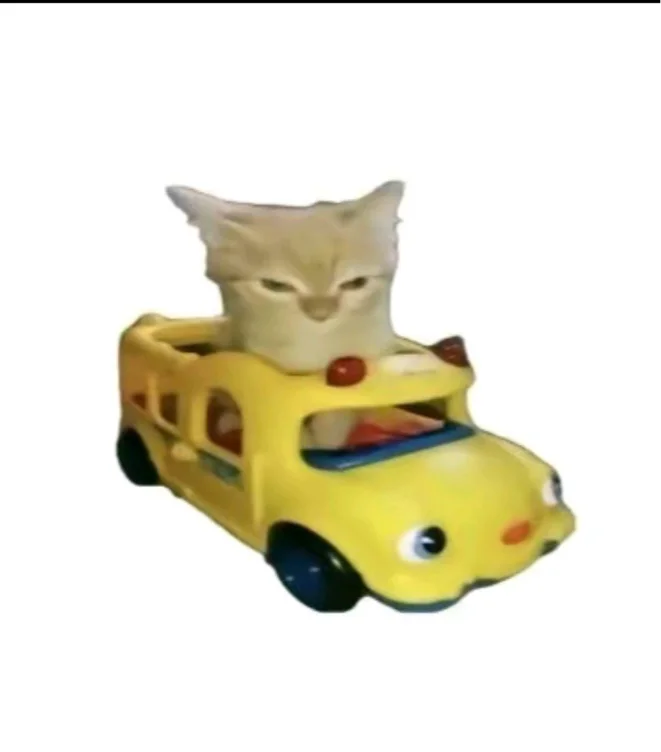 Car’s Monthly Payment 