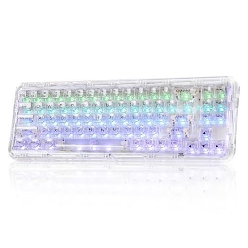 Transparent Mechanical Keyboard