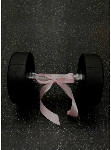 Bi weekly personal trainer + gym membership 