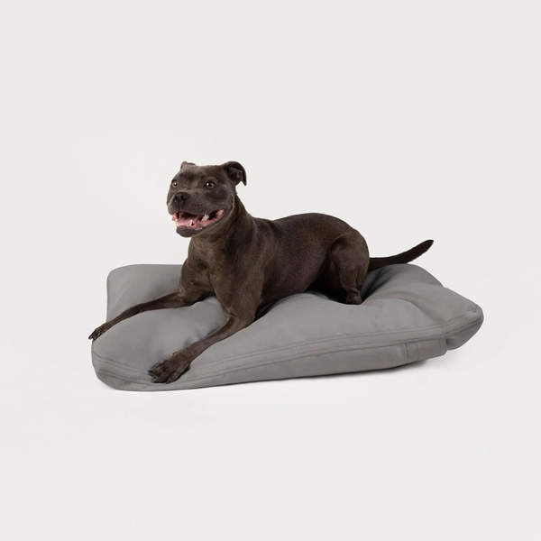 Medium Pillo Dog Bed