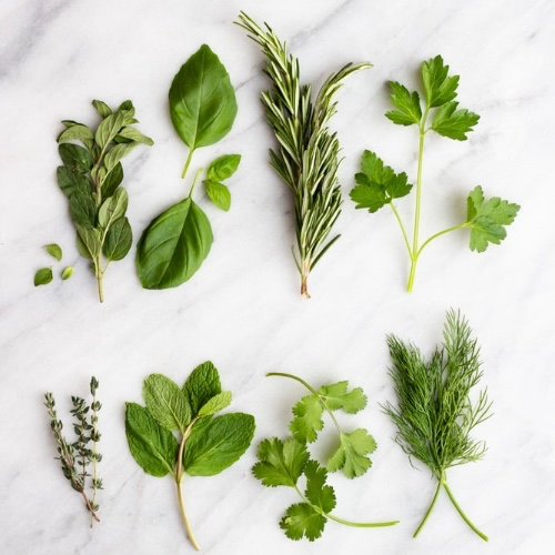 Life’s Herbs
