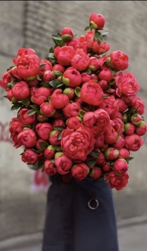 Love Flowers 🌺 55€