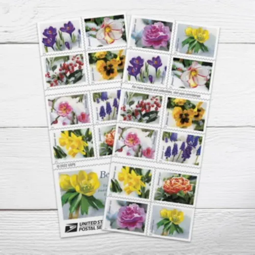 Snowy Beauty Flower Stamps