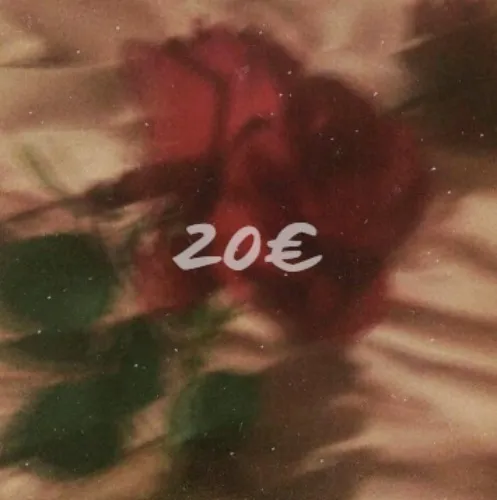 20€ 