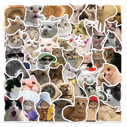 SEEYEON 50Pcs Cute Cat Stickers, Funny Cat Meme Vinyl Stickers Decals for Laptop Water Bottle Phone Luggage, Sticker Gift for Kids Teens Boys Girls, Cat Meme Stickers (SEEYEON) - Cat Meme Stickers