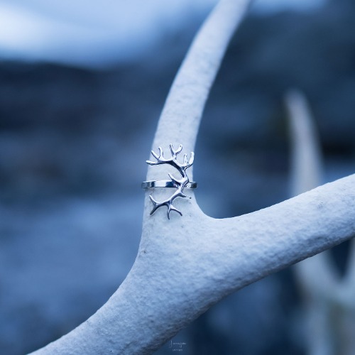 Wild - Ring - Jonna Jinton Sweden
