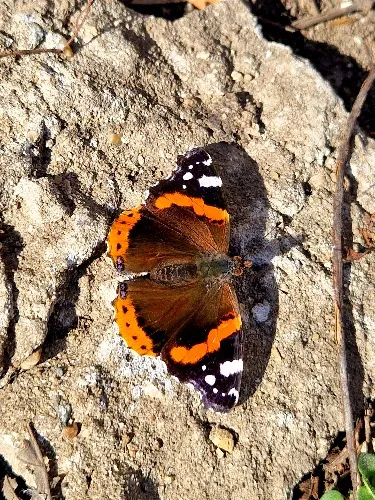 Personal development 🦋