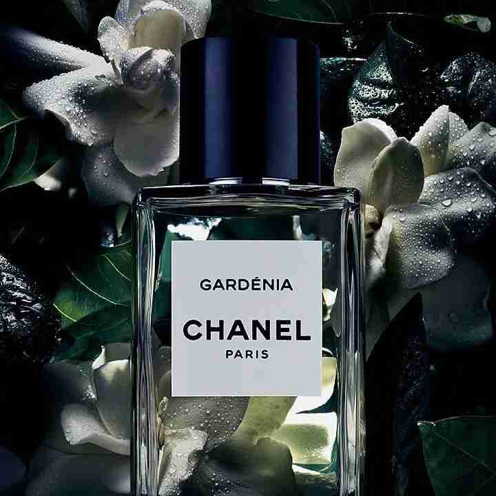 GARDÉNIA