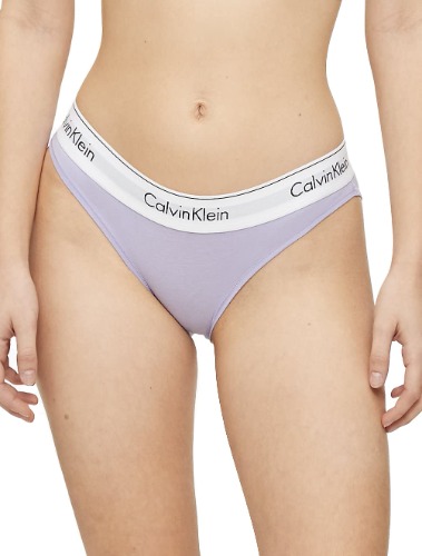 Calvin Klein Women's Modern Cotton Stretch Bikini Panty - Small Vervain Lilac