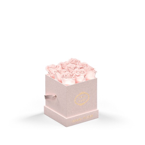 Le Mini Square | Blush Suede / Blush