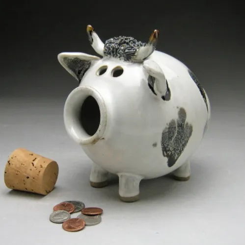 My Dream Piggy Bank! 