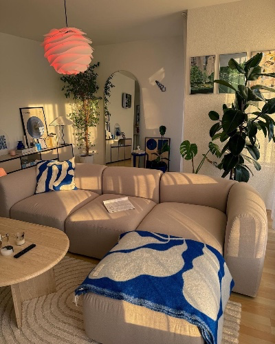 Rent🏠$550