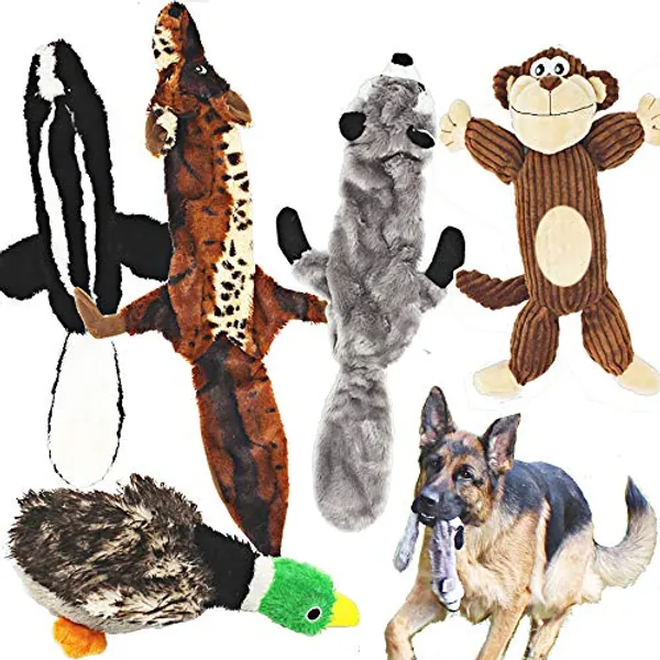 Jalousie 5 Pack Dog Squeaky Toys Three no Stuffing Toy and Two Plush with Stuffing for Small Medium Large Dog Pets (5 Pack)