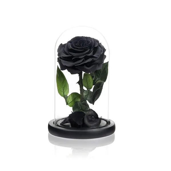 NATROSES Handmade Preserved Roses in Glass Dome, Long Lasting Black Roses Real, Eternal Glass Rose for Valentine’s Day, Christmas, Mother’s Day, Birthday, Anniversary, Wedding, Thanksgiving