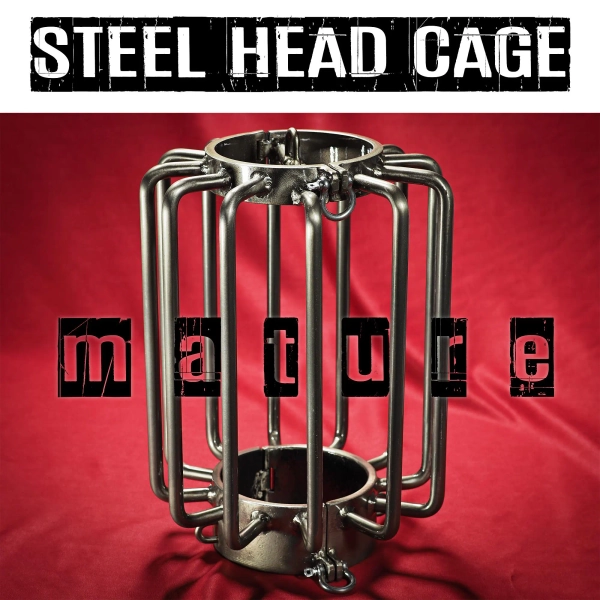 Hard core steel head cage. BDSM metal restraint, captivity fetish, punishment device, heavy bondage, dungeon equipment