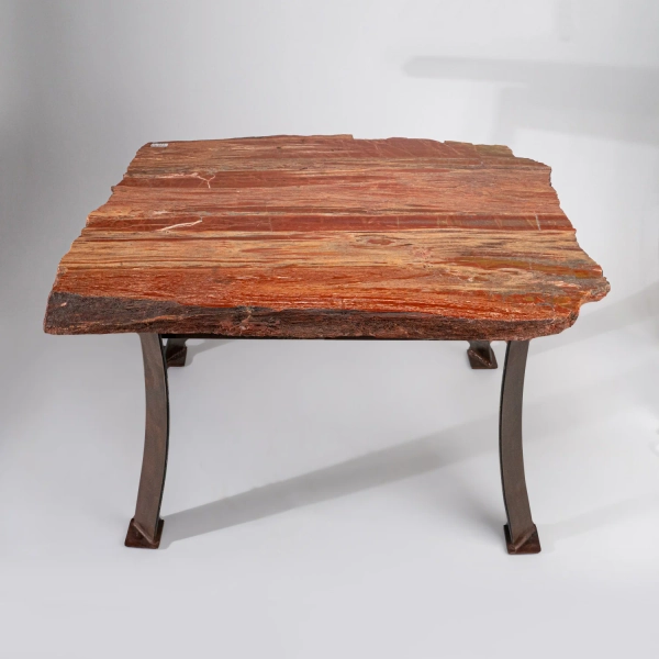 Genuine Polished Petrified Wood Table (55.5 lbs)