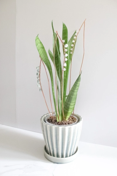 Copper Snake Plant Suncatcher Trellis, Houseplant Accessories, Snake Plant Decor, Southwestern Decor, Boho Cacti Decor, Desert Decor