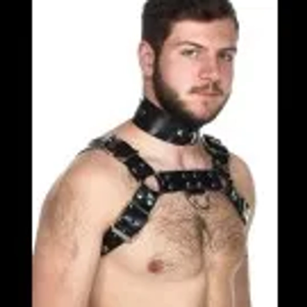Vilain Garcon Heavy Rubber Bulldog Harness