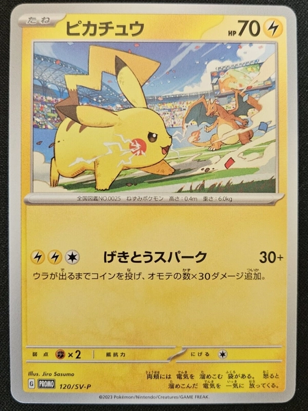 Japanese Pikachu 120/SV-P Promo Gym Event Ft. Charizard Pokémon TCG 2023 NM