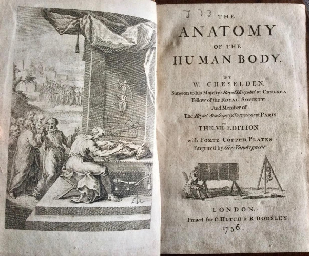 The Anatomy of The Human Body by W Cheselden 41 x Full Page Engravings 1756