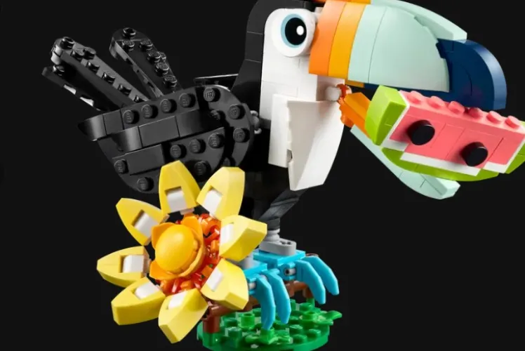 Wild Animals: Tropical Toucan 31173 | Creator 3-in-1 | Buy online at the Official LEGO® Shop US 