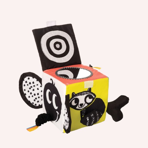 Wimmer Ferguson Learning Cube | Default Title