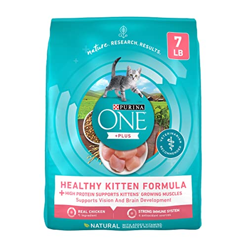 Purina ONE High Protein, Natural Dry Kitten Food, +Plus Healthy Kitten Formula - 7 lb. Bag - Chicken - 7 Pound (Pack of 1)
