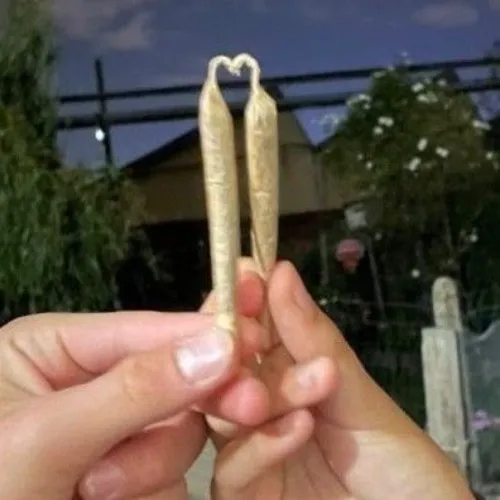 flower 🍃 .𖥔 ݁ ˖𓂃.☘︎ ݁˖