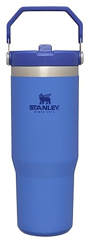 STANLEY IceFlow Stainless Steel Tumbler - Vacuum Insulated Water Bottle for Home, Office or Car Reusable Cup with Straw Leak Resistant Flip Cold for 12 Hours or Iced for 2 Days, Iris, 30 oz / 0.89 L - 30 oz - Iris