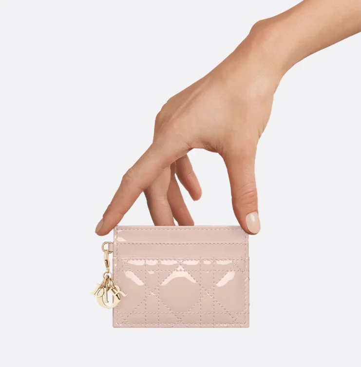 dior cardholder