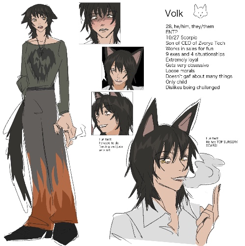 baekhap Volk Wolf Cosplay