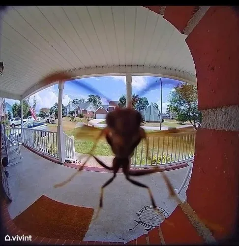 Ill buy me food for like a whole ass week so i can save 