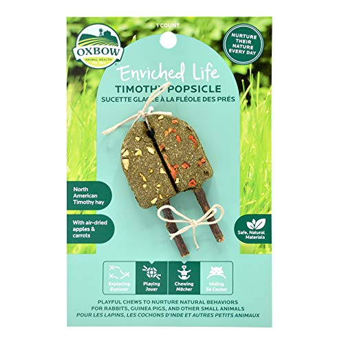 Oxbow Enriched Life Timothy Popsicle - Apple - 1 Count (Pack of 1)
