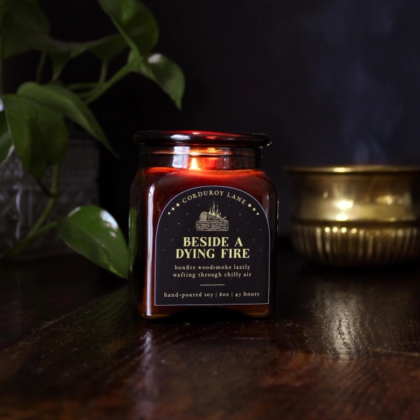 Beside a Dying Fire Apothecary Candle, Cozy Halloween Moody Fall Aesthetic, Dark Academia in Autumn, Book Lover Gift