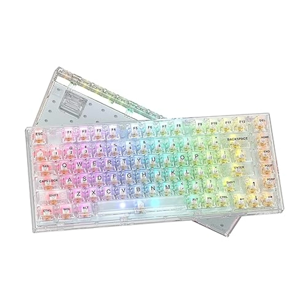 Womier 75% Percent Keyboard, Gasket Mount Mechanical Gaming Keyboard, 82 Keys Wired Custom Keyboard RGB Clear Hot Swappable Pre-lubed Switch for Mac/Win (K75 White)