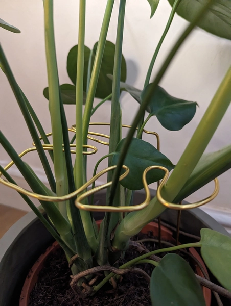 Monstera Shaped Plant Support / Colourful Plant Accessories / Maximalist / Dopamine Decor / Plant Lover Gift / Alternative to Plant Trellis