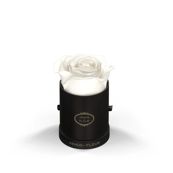 Le Mini Round Eternity Rose | Pure White