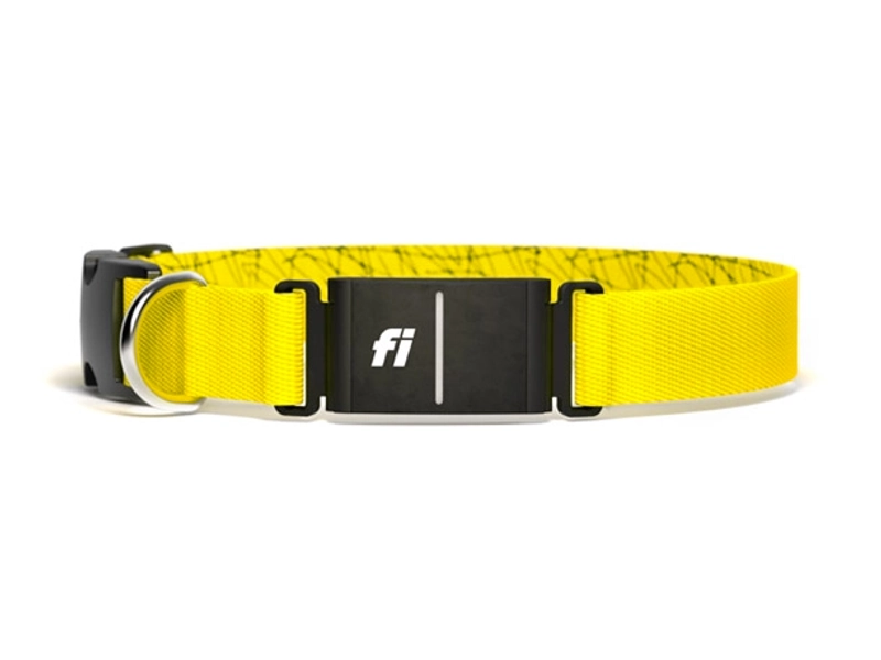 Series 3 Smart Dog Collar and 6 Month Fi Subscription