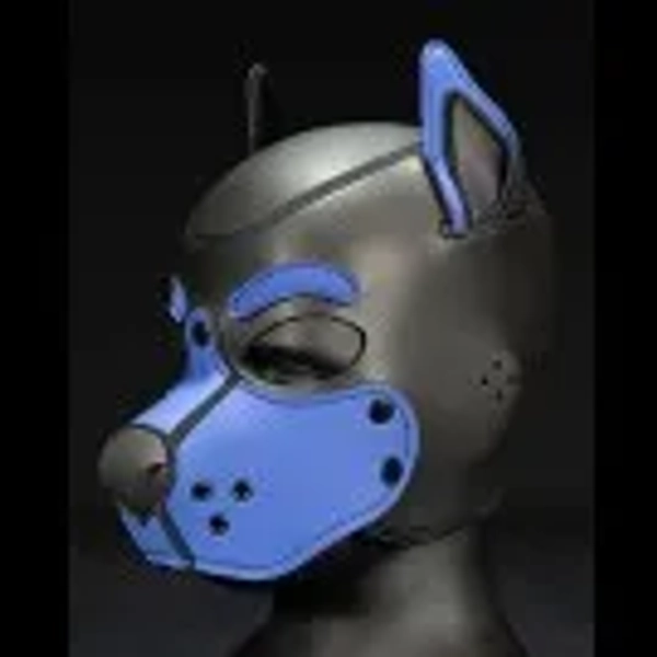 Neoprene Mutt Hood - Custom colours (blue/orange)