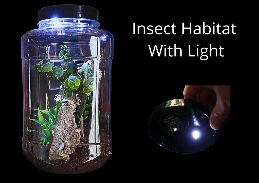 Praying Mantis Enclosure,Cage With Light
