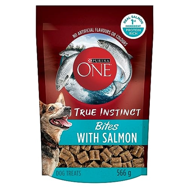 Purina ONE True Instinct Bites Natural Dog Treats, Salmon - 566 g Pouch (1 Pack)