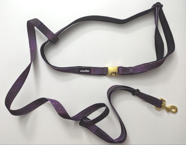 hands free dog leash