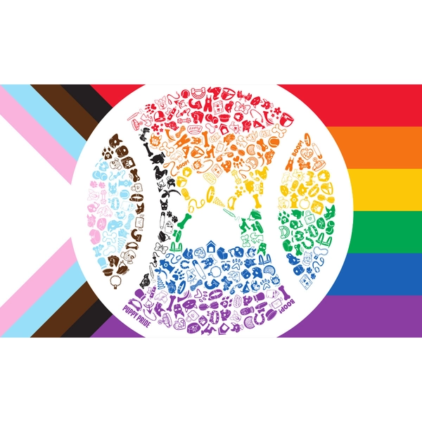 Progress Pride Flag 2022