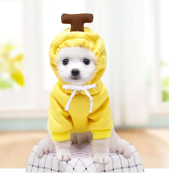 Funny Frog Dog Hoodie, Dog Sweater Cute Apple Banana Frog Warm Jacket for Pet Fashion Cold Weather Outfit for Small Medium Puppy Cats - Yellow S